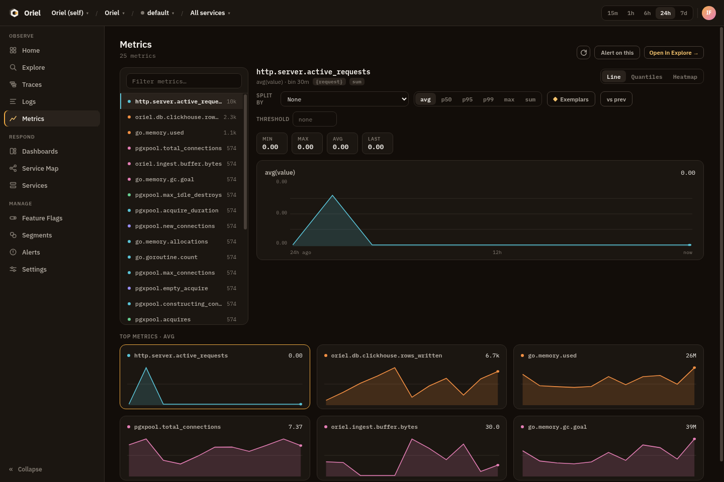 The Metrics screen showing self-observability metrics, a selected time series, and top metric cards.